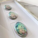 3 раковины Галиотис — изображение 2