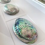 3 раковины Галиотис — изображение 3