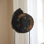 Аммонит Speetoniceras versicolor